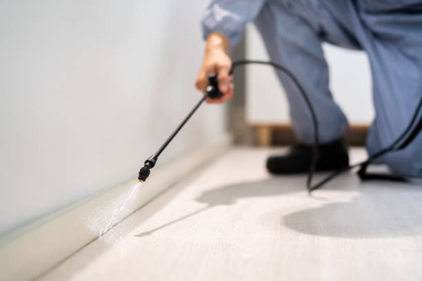 Pest Prevention Services in Mcnary, AZ